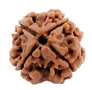 4 MUKHI