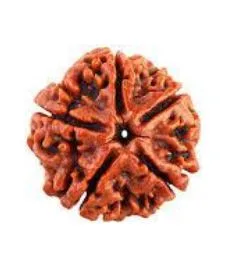5 MUKHI